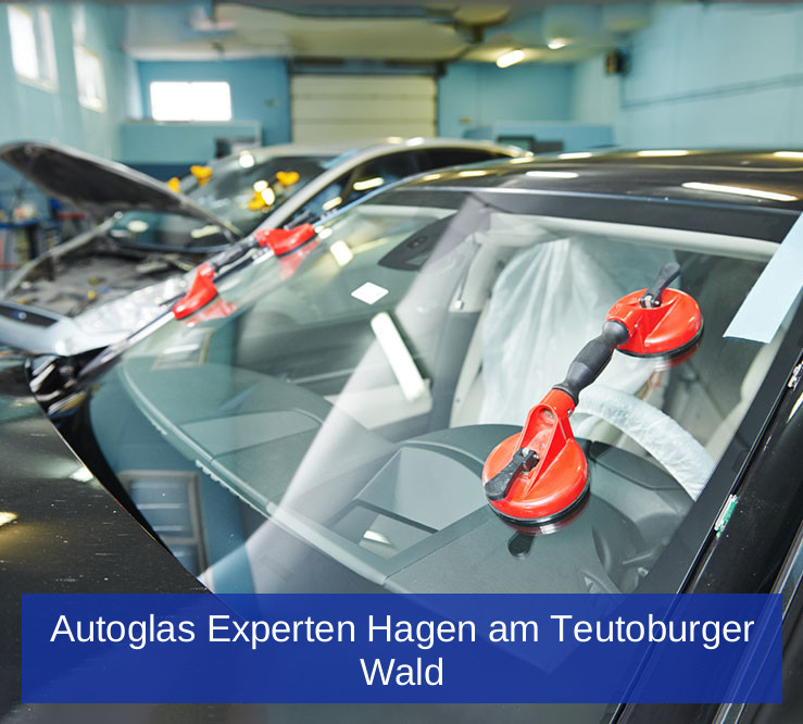 Autoglas Experten Hagen am Teutoburger Wald